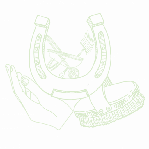 Mobile Pferdebetreuung & Stallservice